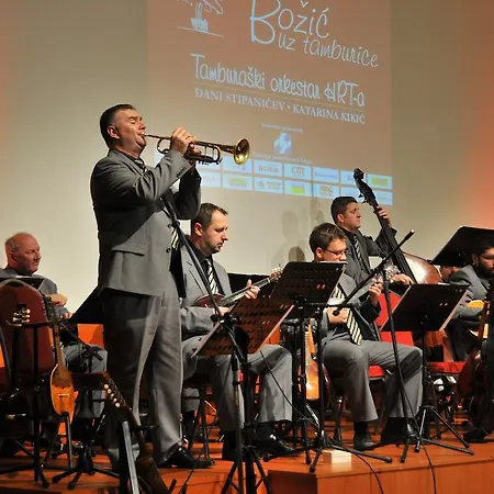 Central Apartment Vitez