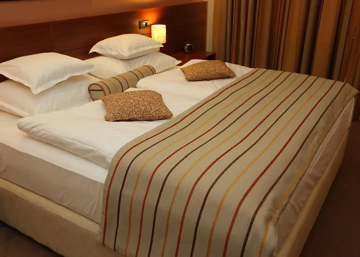 森特尔酒店 住宿加早餐酒店 维特兹